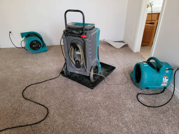 Best 24/7 water damage repair  in Lena, IL