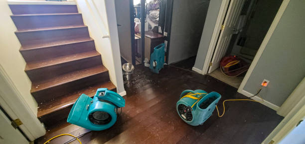 Best Residential water damage restoration  in Lena, IL