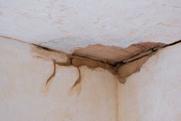 Best Emergency water damage restoration  in Lena, IL