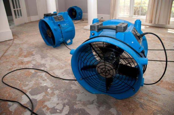  Lena, IL Water damage restoration Pros