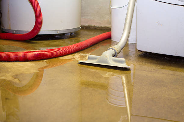 Best Flood damage cleanup  in Lena, IL