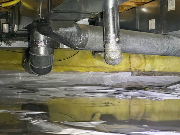 Best Basement water damage restoration  in Lena, IL