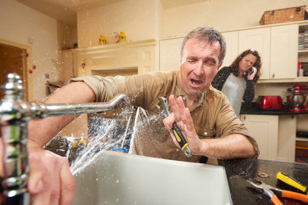 Best Water damage cleanup near me  in Lena, IL